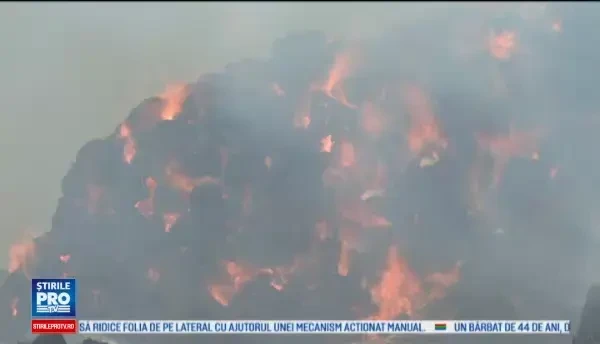 Inconstienta cu pagube uriase. Patru hectare de padure au ars dupa ce un barbat din Bistrita-Nasaud a dat foc vegetatiei