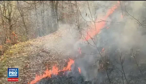 Inconstienta cu pagube uriase. Patru hectare de padure au ars dupa ce un barbat din Bistrita-Nasaud a dat foc vegetatiei