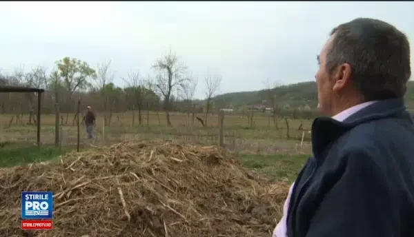 Scandal in Gorj la o executare silita pentru un teren agricol. Cum au ajuns doi veri in aceasta situatie