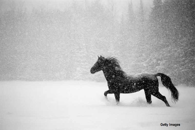 Si-a ucis sotul legandu-l cu o funie de gat si tragandu-l cu calul prin zapada. Pedeapsa primita de rusoaica si amantul ei