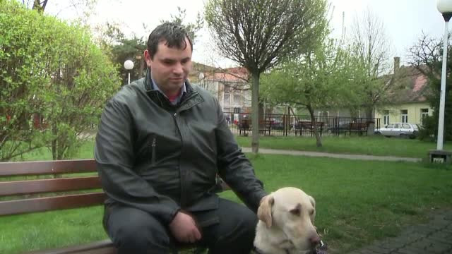 Situatie revoltatoare la Targu Frumos. Un barbat nevazator si labradorul care ii e ghid, bruscati de un sofer de autobuz