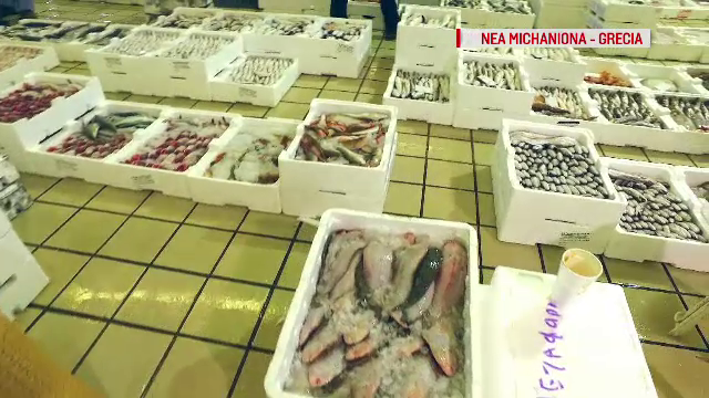 Piata de peste din Romania este una de sute de milioane de euro, din care noi producem doar 12%. Cum e la greci sau bulgari