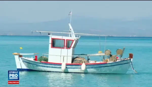 Piata de peste din Romania este una de sute de milioane de euro, din care noi producem doar 12%. Cum e la greci sau bulgari
