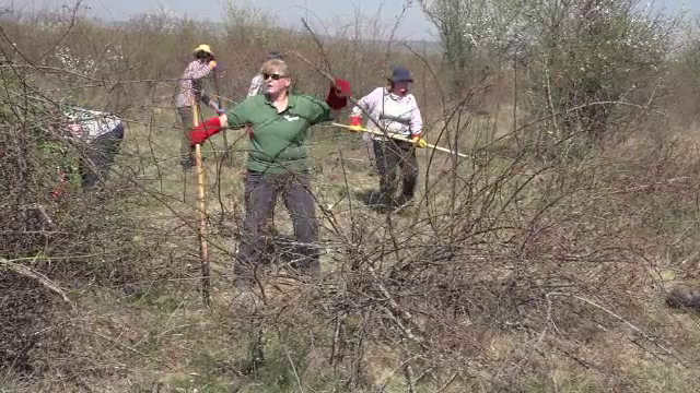 Zece englezi s-au intors in Romania, la un an dupa ce au vizitat Transilvania. De ce surprize au avut parte