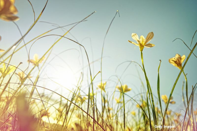 Soare şi cald pentru această perioada. Vreme se schimbă începând de joi