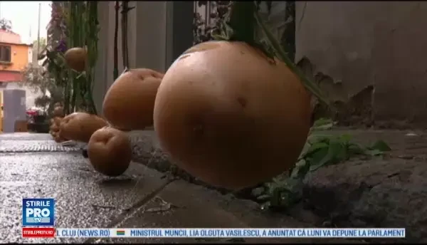 Targ de design la Milano. Scaunul de birou in care te poti simti ca intr-un Ferrari