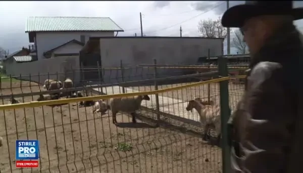 Locurile unde va puteti incalzi la o soba cu lut sau sa dormiti intr-o casa cu podea de sticla. Cat costa cazarea de Paste