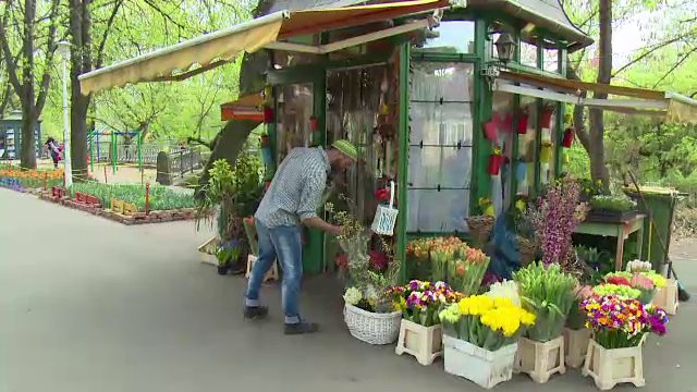 Surpriza de 4.000 de euro pregatita oradenilor de Paste de un florar. "Ajung in Oradea si vad minunatia asta"