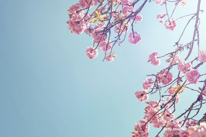 Înnorări, precipitaţii, dar și lapoviță. Prognoza meteo pentru urmatoarele zile