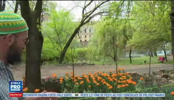 Surpriza de 4.000 de euro pregatita oradenilor de Paste de un florar. Ajung in Oradea si vad minunatia asta