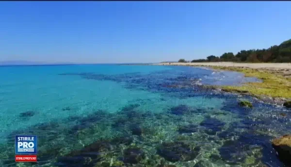 Lectii de la greci despre cum trebuie consumat pestele. Ce nota a platit un grup de romani care a comandat 8 kilograme