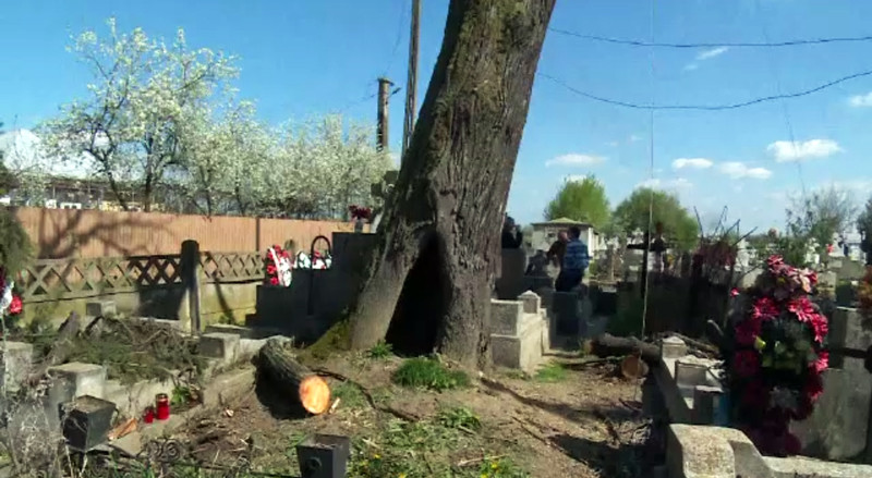 A murit in cimitir, dupa ce a cazut dintr-un copac. "Fiind legat mai sus, greutatea a venit si l-a indreptat spre scara"