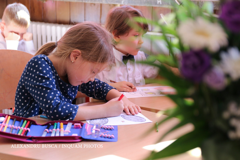 EVALUARE NATIONALA 2017. S-au afisat subiectele la clasa a II-a la Limba romana si limba materna