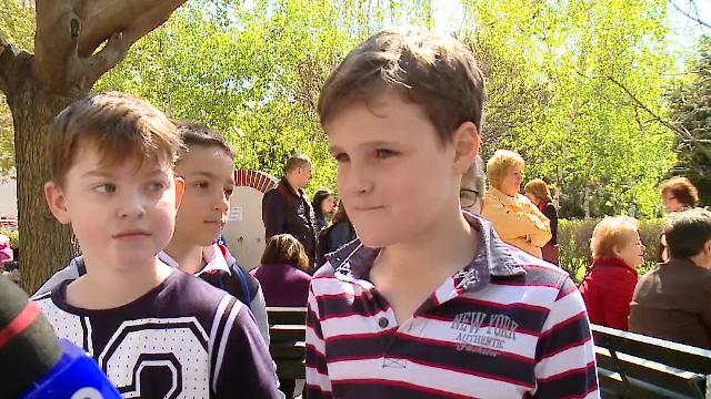 Evaluare Nationala la Limba romana pentru elevii de clasa a II-a. Ce au facut parintii pentru a le usura stresul elevilor