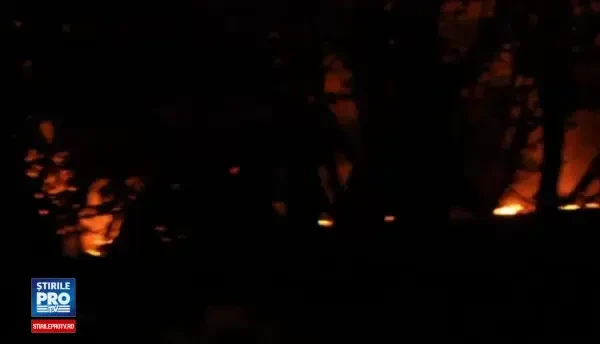 O tabara de migranti din Franta a luat foc, dupa o adevarat batalie intre afgani si kurzi. A ramas doar un morman de cenusa