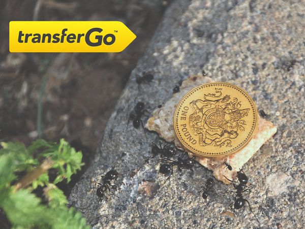 (P) Cat valoreaza munca romanilor aflati peste hotare?