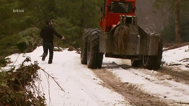 Fara permis de conducere pentru tractoare pe drumuri publice. Decizie controversata luata de judecatori