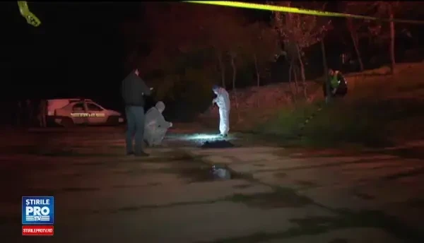 Gravida de 32 de ani, injunghiata de un barbat, care a vrut apoi sa o inece. Agresorul a fost prins de politie