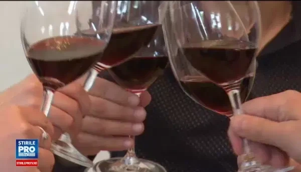 Cum se aleg vinurile pentru masa de Paste si de ce este recomandat sa le luam direct din crama. Recomandarile oenologilor
