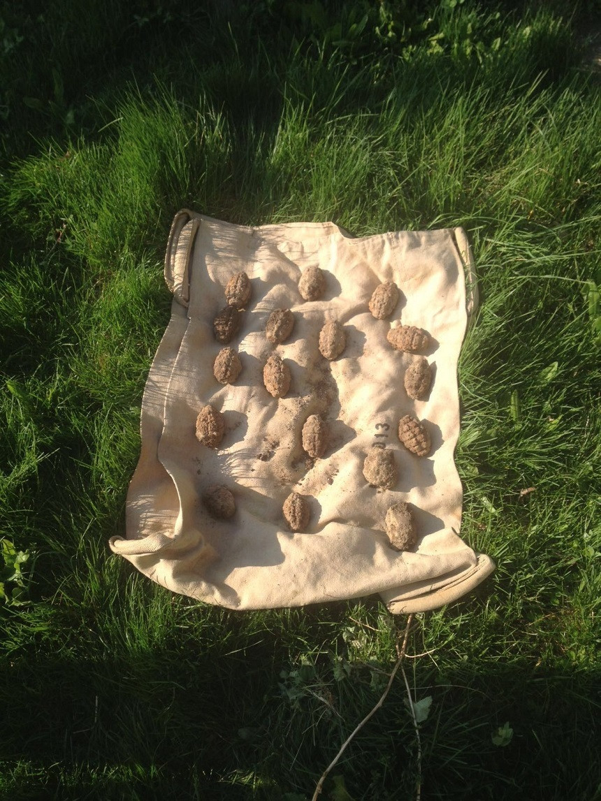 21 de grenade gasite in ultimele 24 de ore pe camp, in comuna Gherghita, judetul Prahova