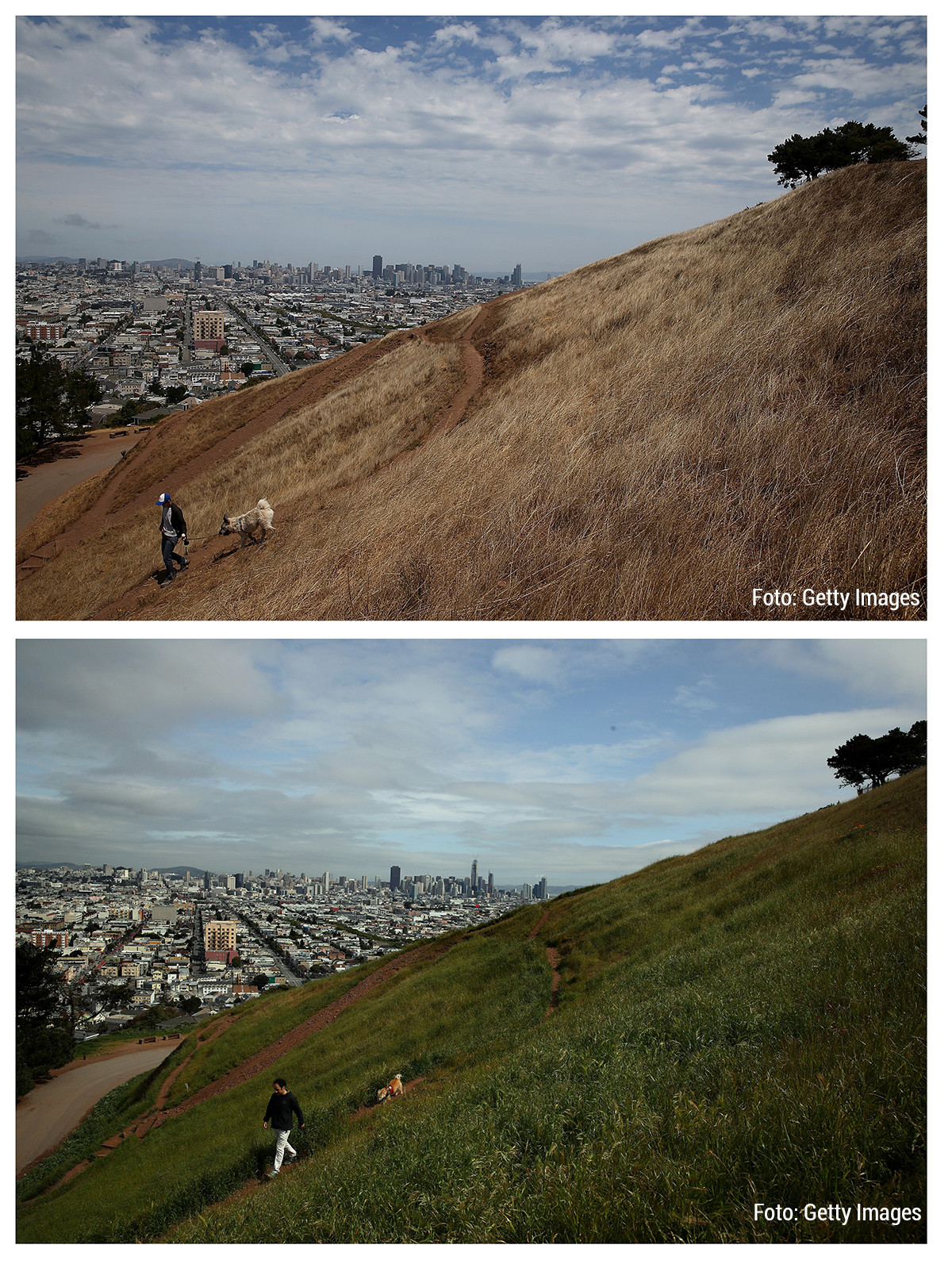 Alerta seceta California