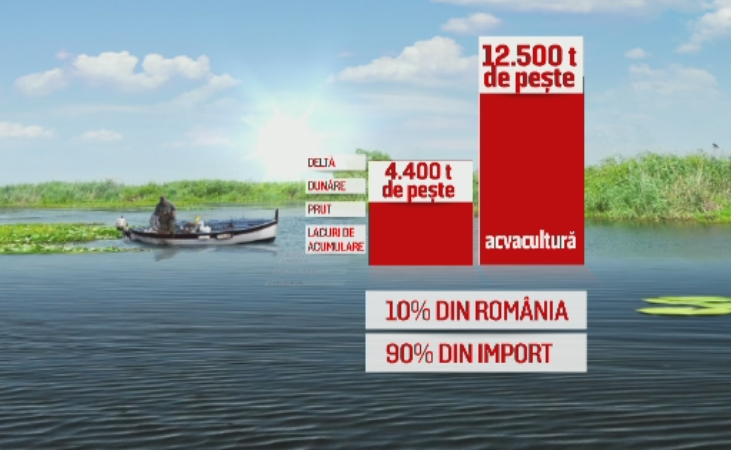 Dezinteresul, braconajul si absenta pescadoarelor trag in jos industria pestelui din Romania. Cum reusesc grecii sa prospere