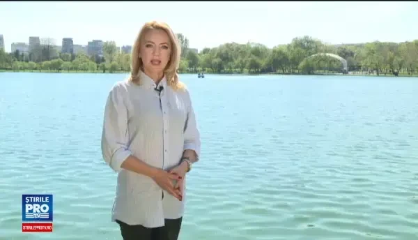 Dezinteresul, braconajul si absenta pescadoarelor trag in jos industria pestelui din Romania. Cum reusesc grecii sa prospere