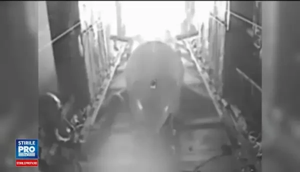 Suntem mandri de armata noastra. Reactia lui Donald Trump dupa ce mama tuturor bombelor a ucis 36 de luptatori ISIS