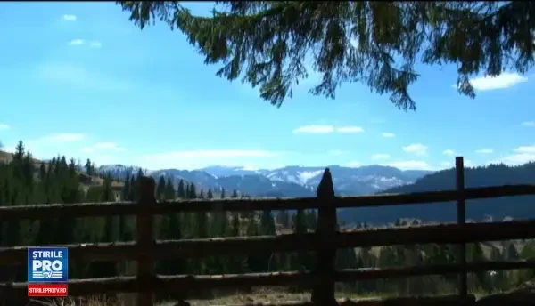 Pastele in Bucovina. Preparatele localnicilor sunt atat de gustoase, incat atrag mii de vizitatori in fiecare an