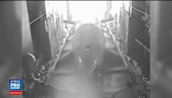 Cine a luat decizia de a lansa mama tuturor bombelor in Afganistan. Localnic: Am simtit ca se prabuseste cerul peste noi