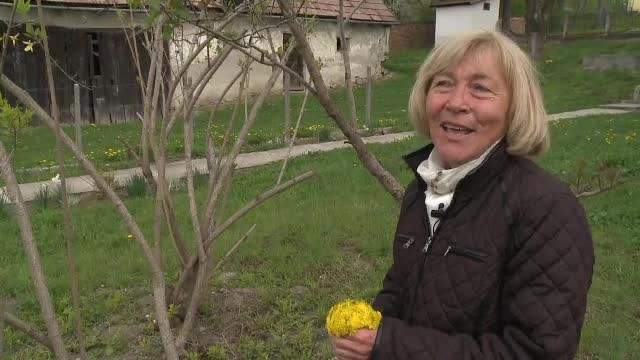 Sasii care au plecat dupa Revolutie in Germania, dornici sa revina in Romania. "Aici sunt acasa, aici bate inima"