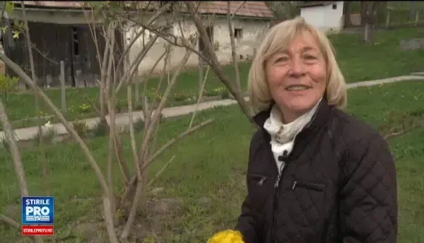 Sasii care au plecat dupa Revolutie in Germania, dornici sa revina in Romania. Aici sunt acasa, aici bate inima