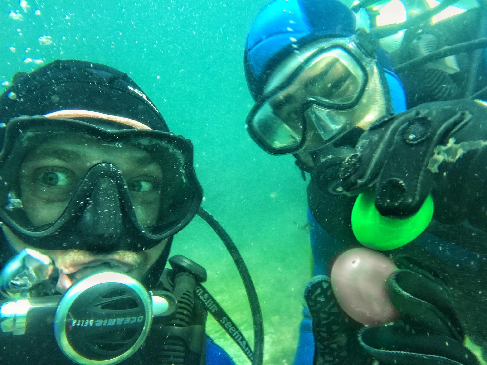 Oua rosii, ciocnite la patru metri sub apa. Imaginile surprinse de doi scafandri romani