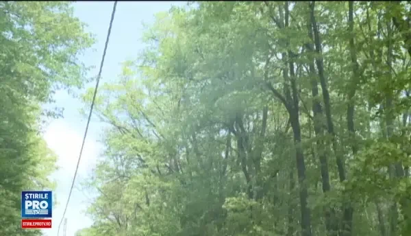 Sute de persoane si-au petrecut ziua de Paste la iarba verde, langa Bucuresti. Ce a preparat pe gratar un grup de chinezi