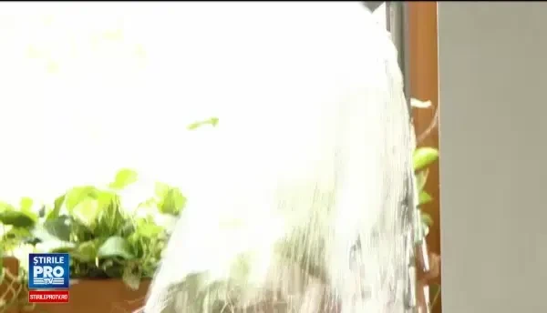 Locul din Ungaria in care 7 din 10 turisti sunt romani. Ce sondaj au facut maghiarii la noi in tara