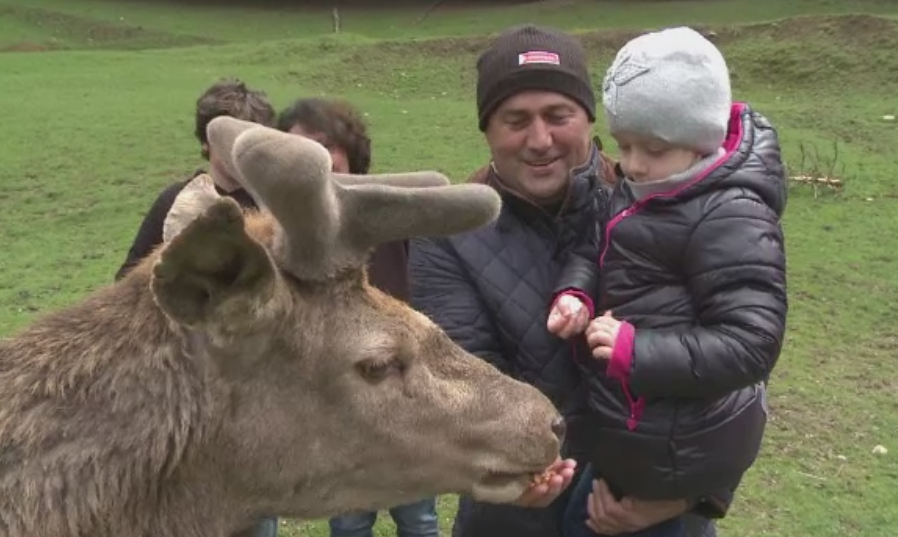 Zonele rurale preferate de majoritatea romanilor, in minivacanta de Paste. Turistii au hranit cerbi in Poiana Neamtului