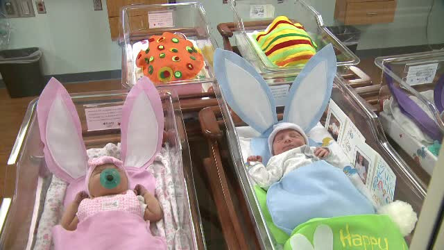 Spitalul in care, de Paste, bebelusii au "primit" urechi de Iepuras si paturi pe post de oua decorate