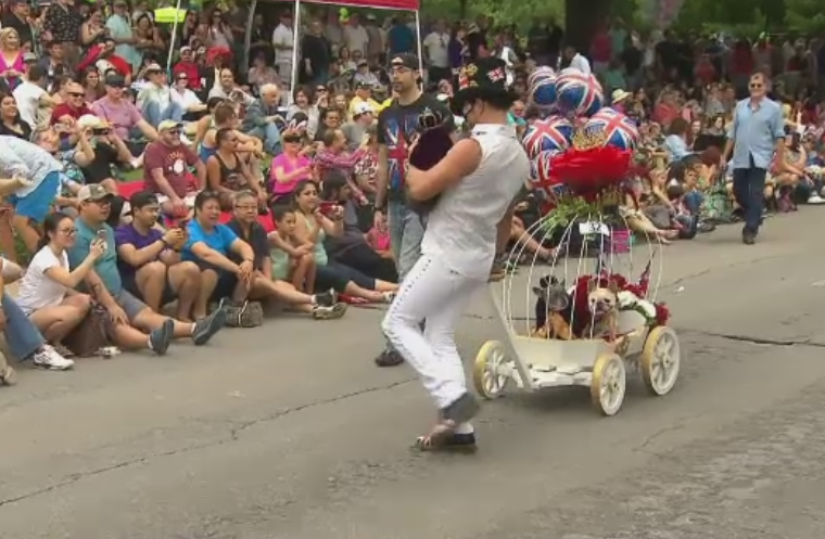 Defilare cu caini costumati pe principalul bulevard din Dallas. La final a fost desemnat si un castigator