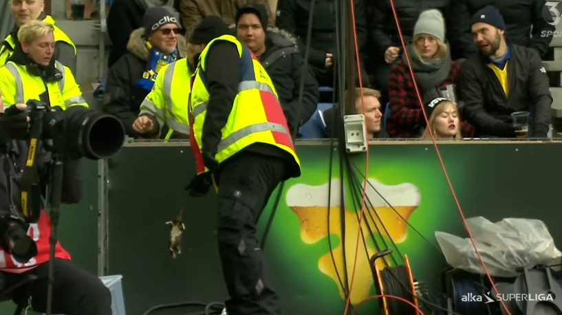 Fanii echipei Brondby din Danemarca au aruncat cu sobolani morti in directia jucatorilor de la FC Copenhaga. VIDEO