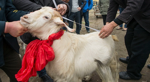 Tara in care parintii pot plati taxele de scolarizare a copiilor cu capre sau oi. Si bancile au acceptat aceasta plata