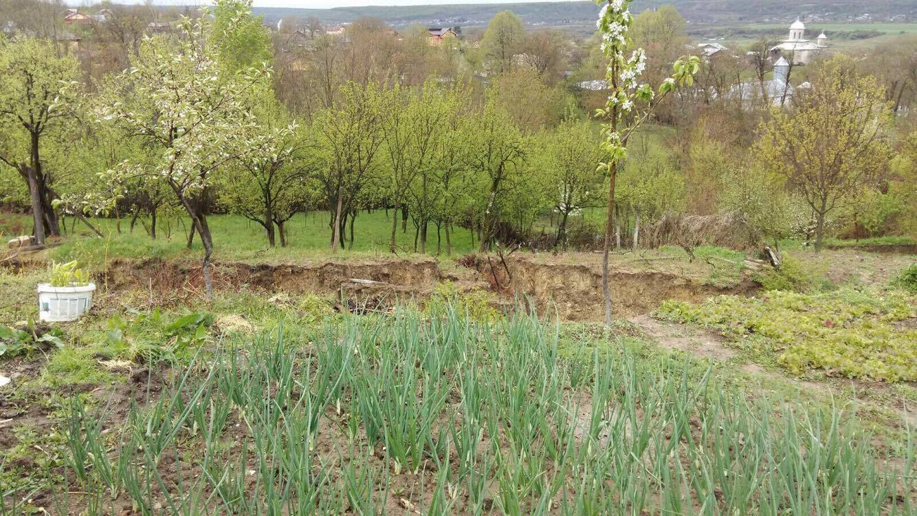 "Fuge" pamantul in Prahova, inmuiat de topirea zapezilor si de ploi. Alunecarea de teren pune in pericol 6 gospodarii