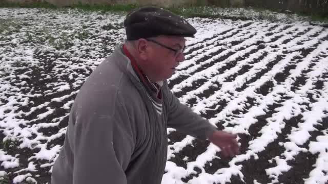 Iarna neasteptata provoaca probleme agriculturii din Romania. Fermierii spera sa primeasca despagubiri de la Guvern