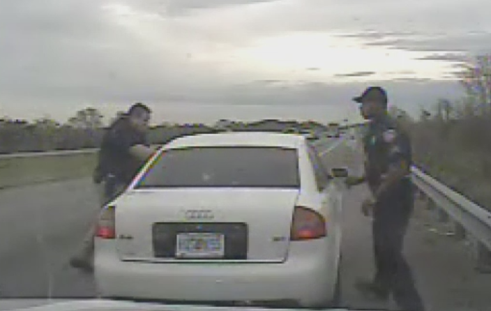 Arestare violenta in SUA. Doi politisti, filmati cand au scos cu forta un sofer care conducea haotic pe autostrada