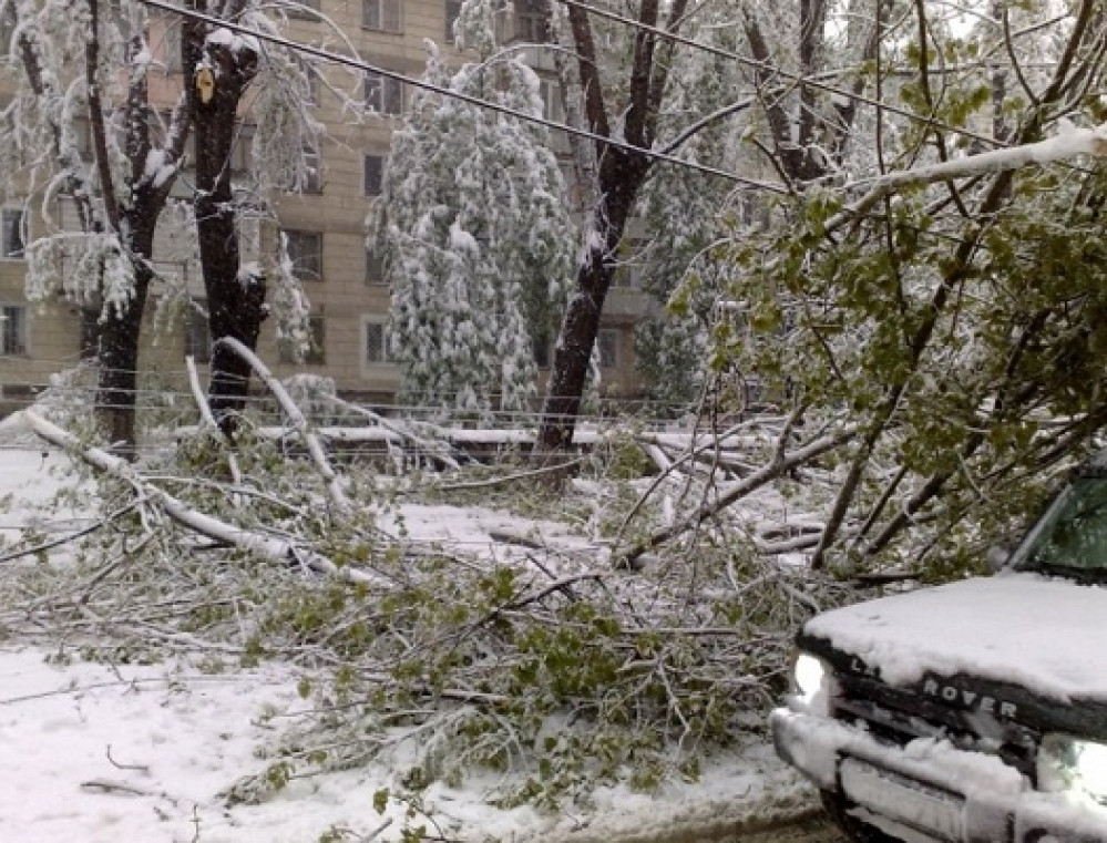 Presedintele Moldovei a mobilizat armata ca sa lupte impotriva zapezilor. 4.000 de copaci au cazut doar in Chisinau