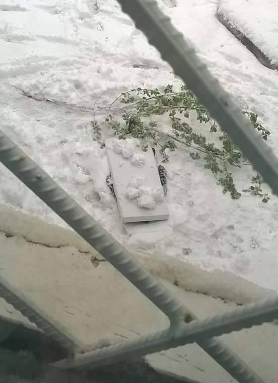 mort zapezi Chisinau