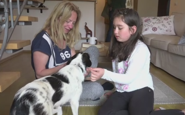 O noua forma de a ajuta animalele abandonate castiga teren in Romania. Ce presupune o familie foster
