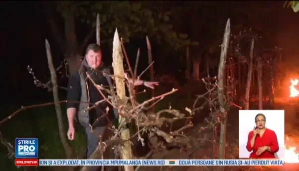 Proprietarii de livezi au facut noapte alba ca sa-si protejeze pomii cu rod de frig. Solutia gasita intr-un sat din Gorj