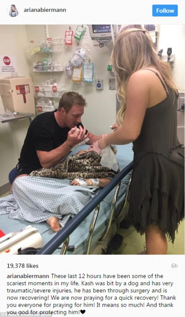 Clipe de groaza pentru o vedeta din SUA. Copilul ei de 4 ani a fost atacat de un caine. FOTO