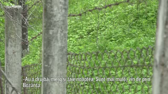Barbat din Maramures, prins in timp ce incerca sa duca la fier vechi gardul unui cimitir. Localnicii, terorizati de hoti