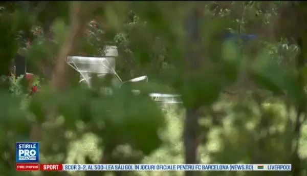 Un american a sunat la 911 si a anuntat ca si-a ucis sotia la nervi. Vecinii sustin insa ca nu s-ar fi certat niciodata cu ea